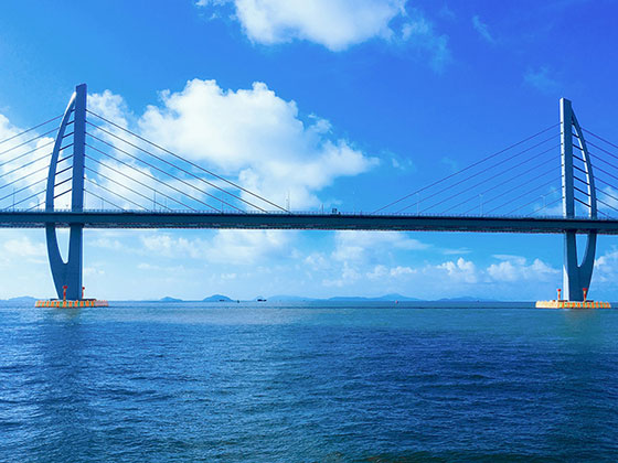 海上觀港珠澳大橋，邂逅中華白海豚